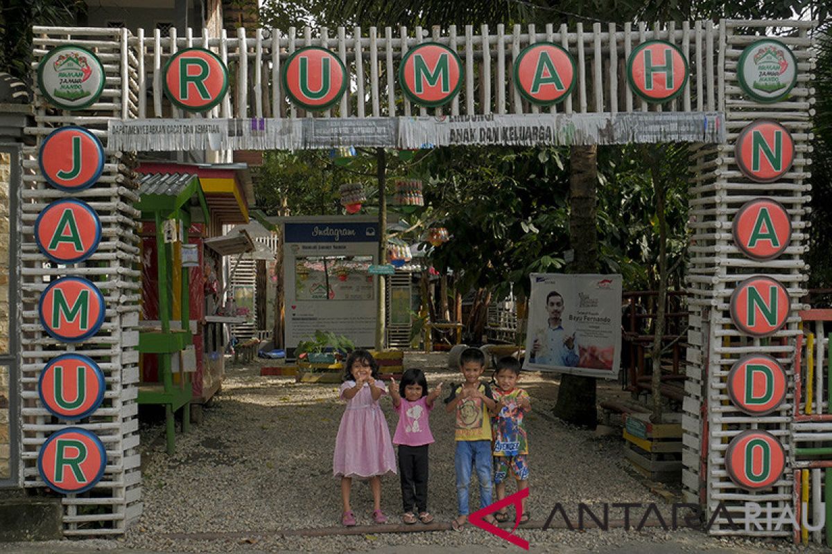 Wisata edukasi budidaya jamur di Pekanbaru