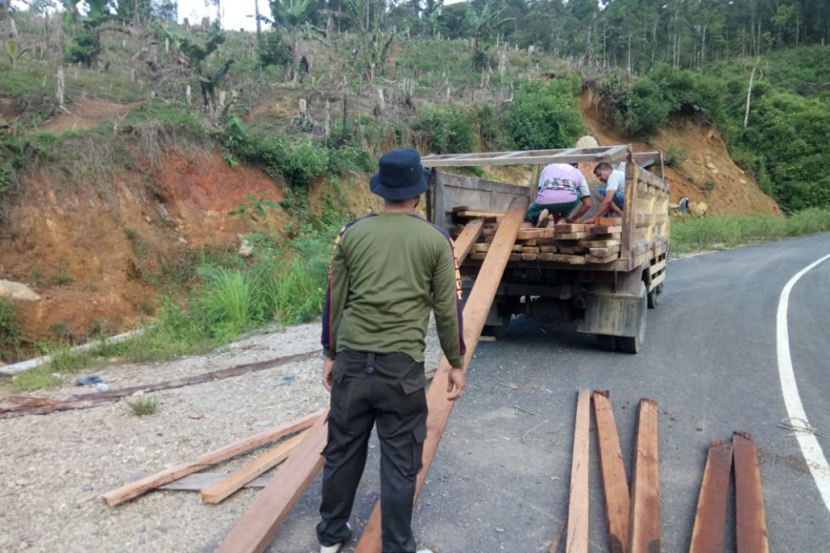 Polisi Hutan temukan kayu olahan diduga hasil pembakan liar