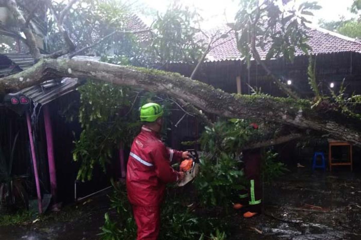 Waspadai puncak musim hujan!