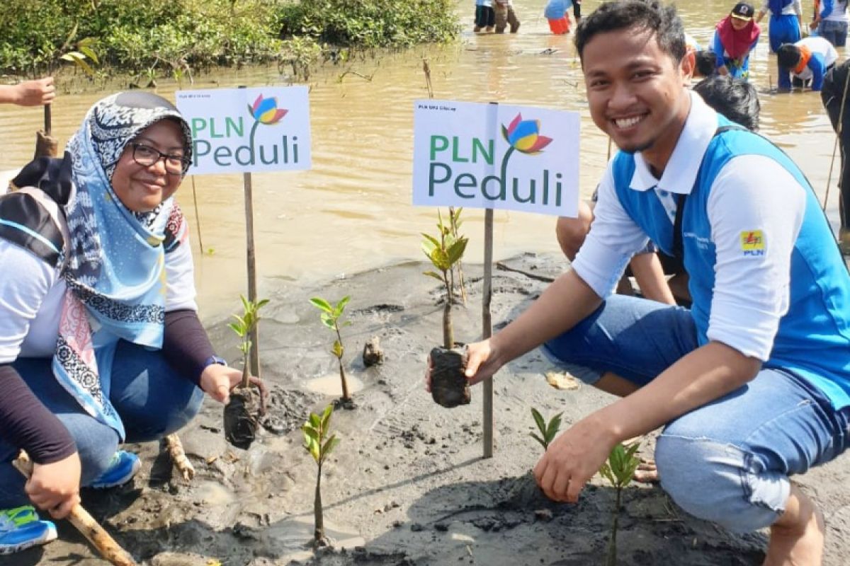 Cegah longsor, PLN Cilacap tanam pohon di lahan kritis