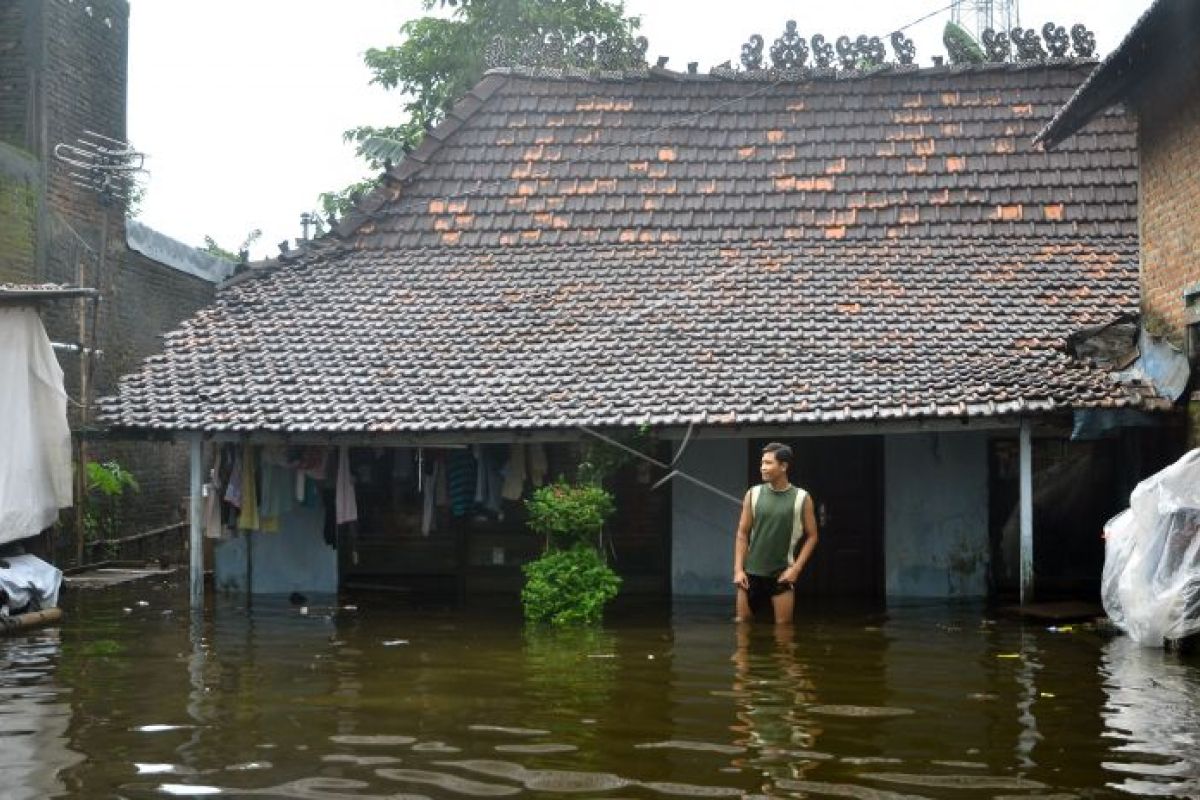 Musim hujan, masyarakat diimbau mewaspadai penyakit leptospirosis