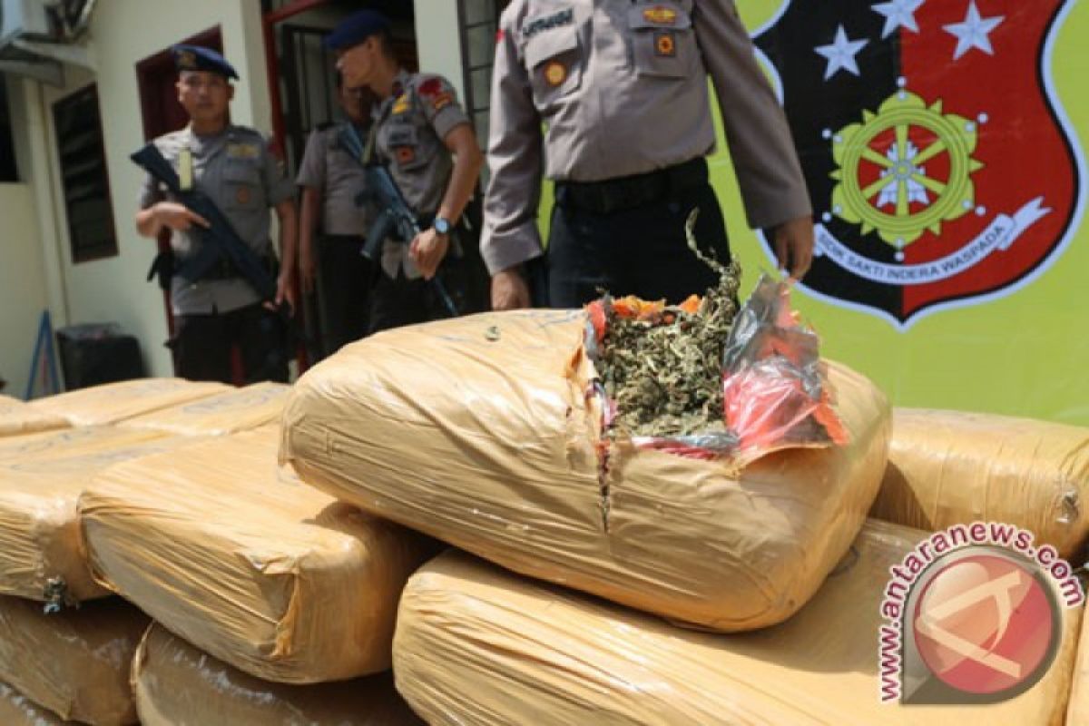 Polres Pelalawan sita dua kilogram ganja