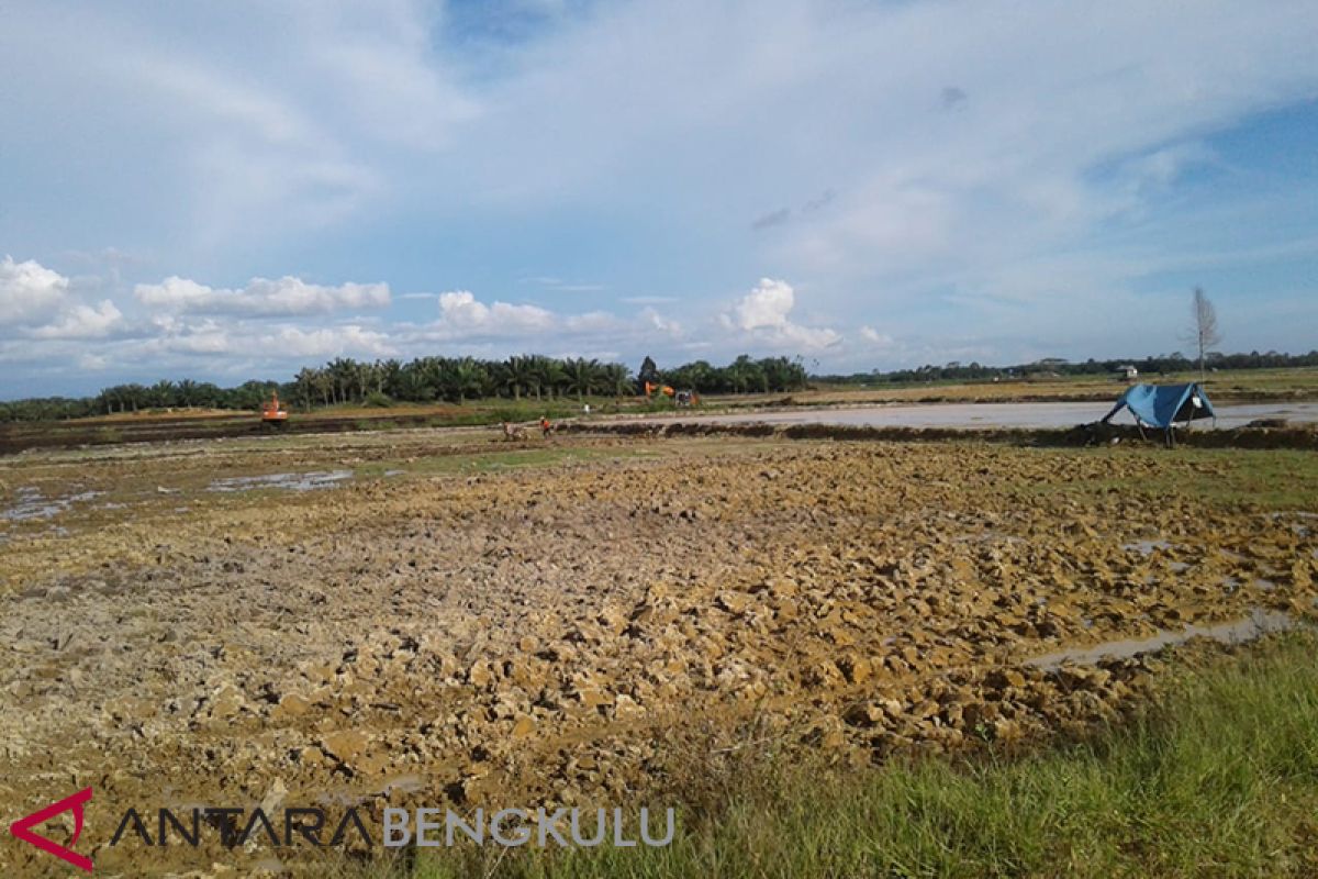 Legislator Kalteng dukung cetak sawah di Barsel ditambah 2.000 hektar