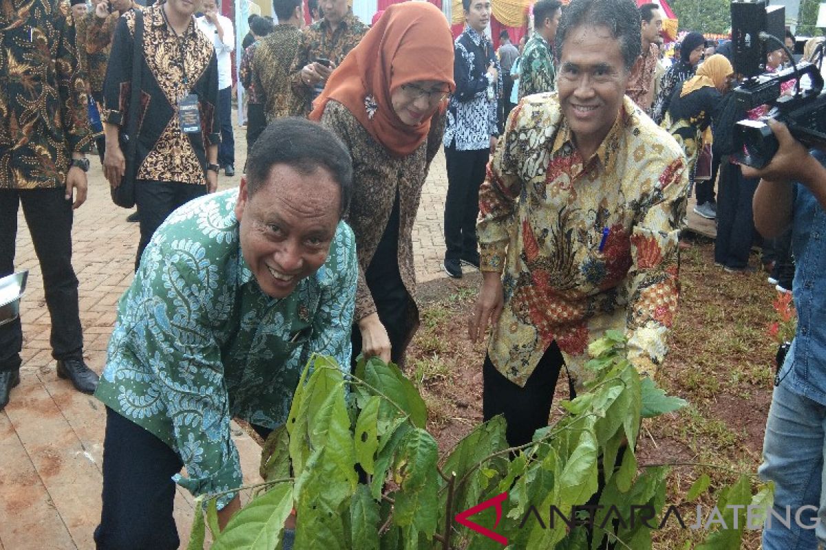 Menristekdikti: pengolahan kakao Indonesia kalah dengan Vietnam