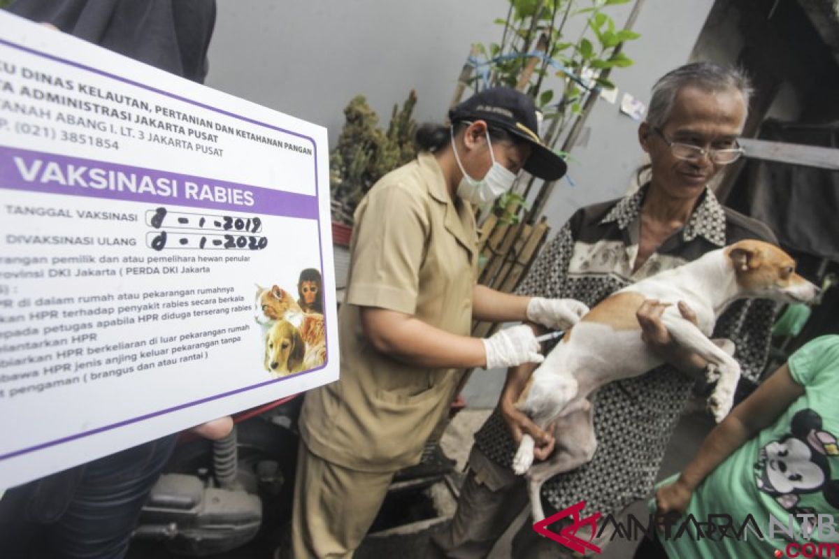 Dinkes Mataram siapkan vaksin rabies