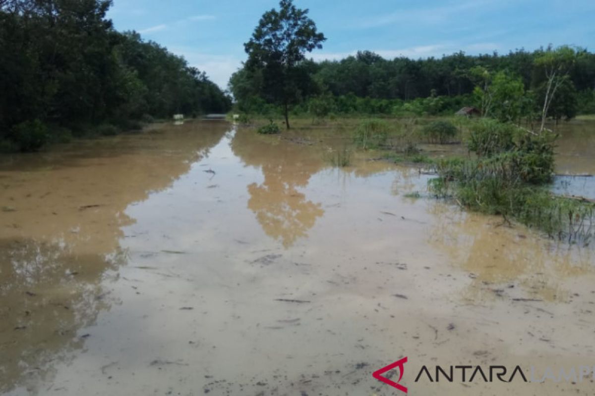 Kabupaten Tulangbawang Barat Dilanda Banjir