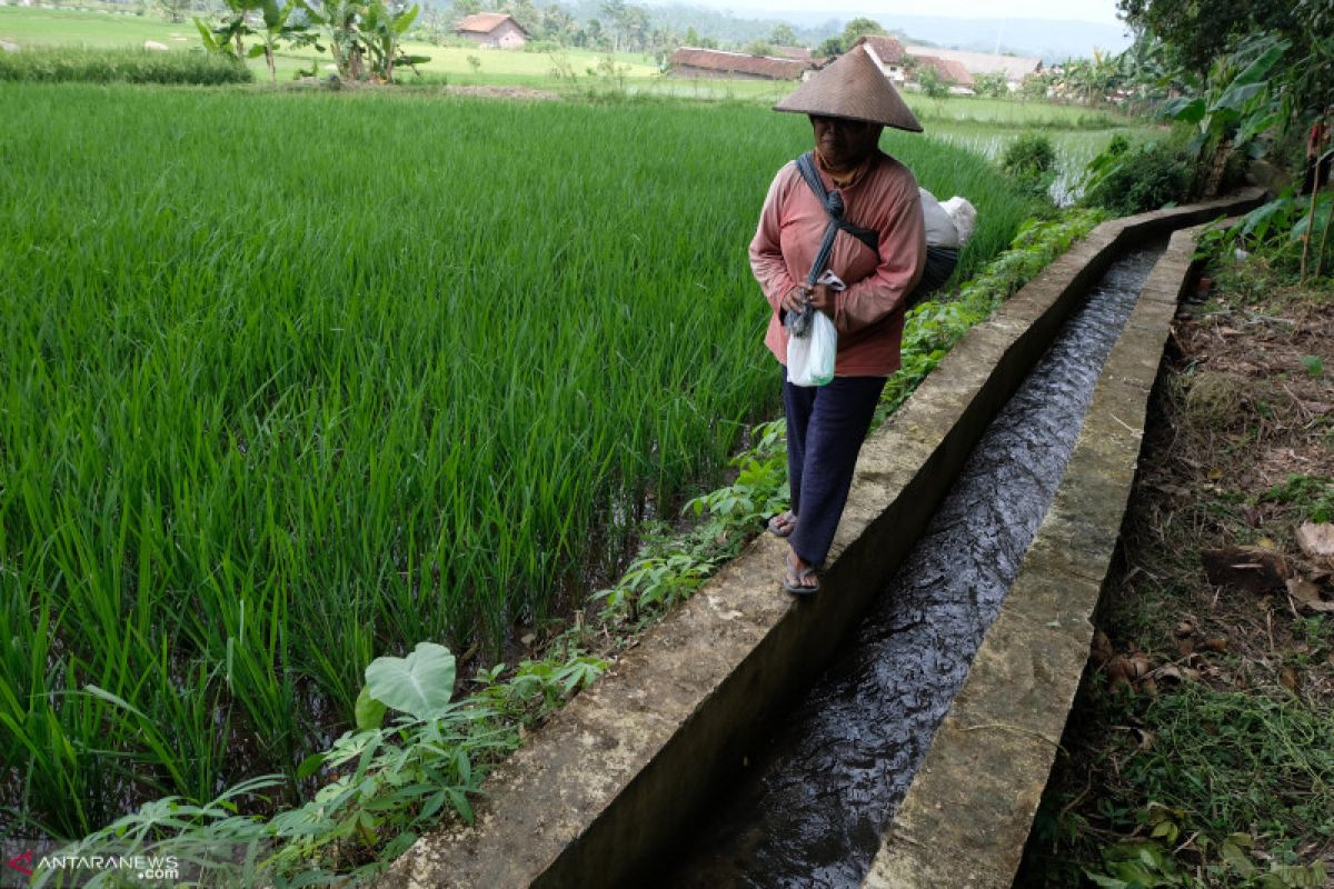 Pemprov Jateng : Jaringan irigasi dalam kondisi baik 82 persen