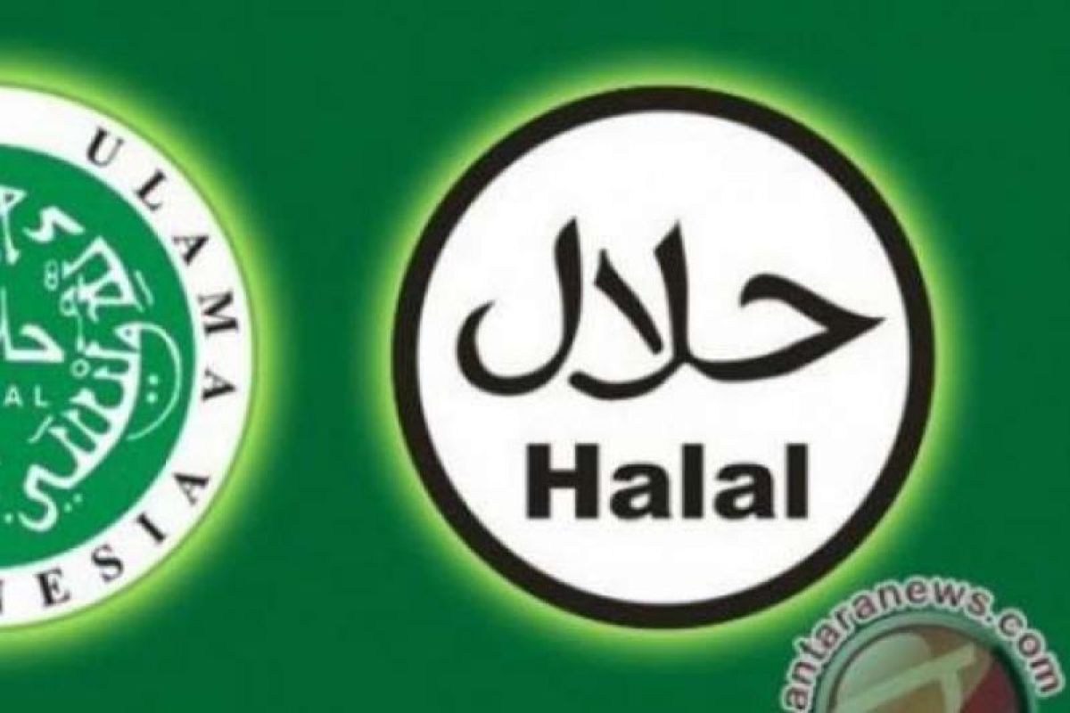 LPPOM MUI Riau terbitkan 284 sertifikat halal