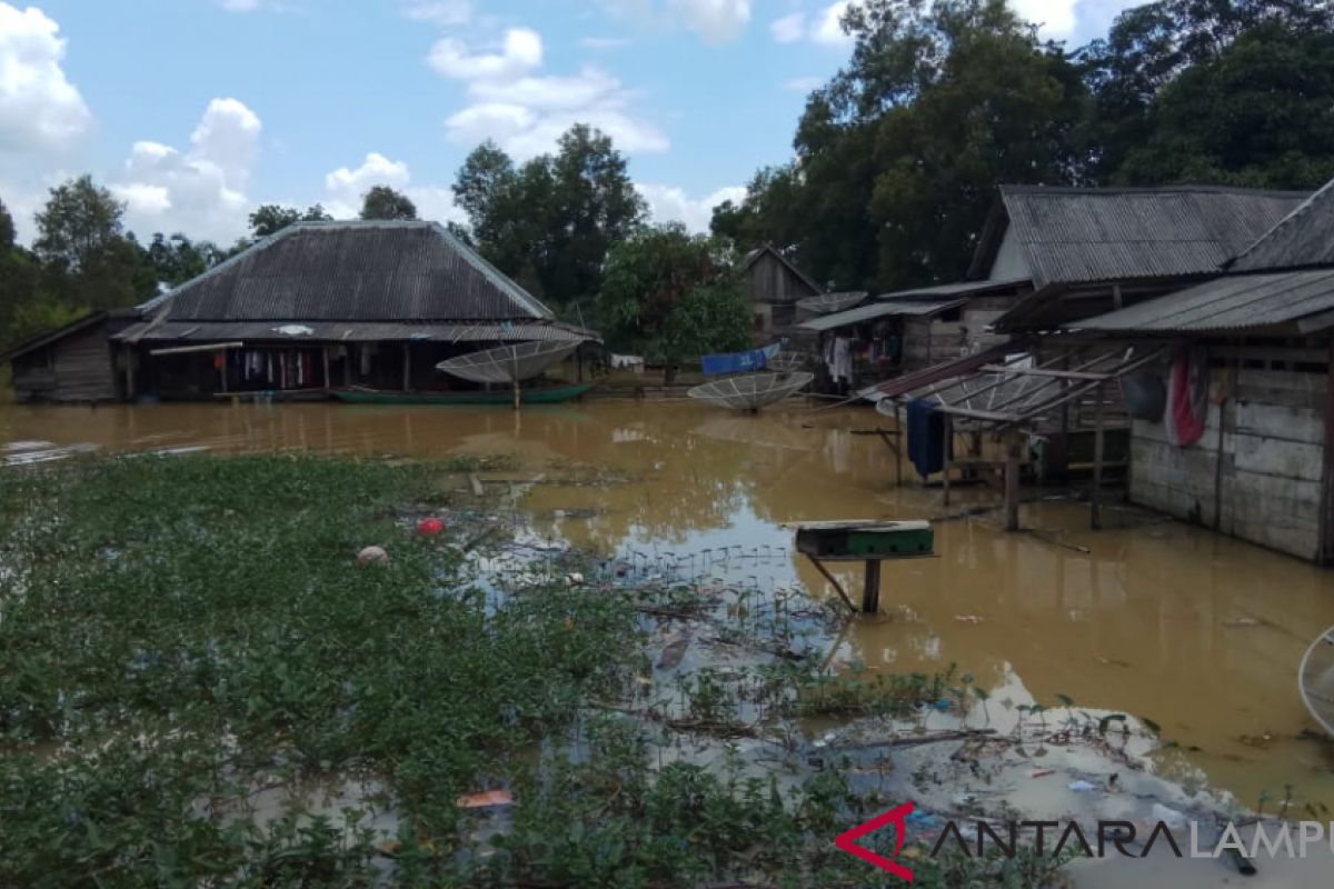 Korban banjir khawatirkan  serangan ular dan buaya