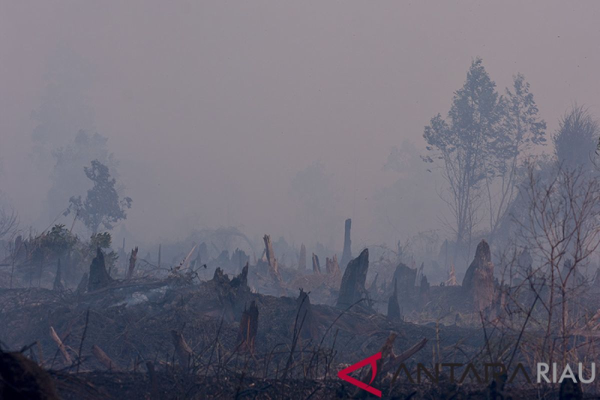 Tim Gabungan Dumai Tanggulangi Karhutla Dekati Bandara Pinang Kampai