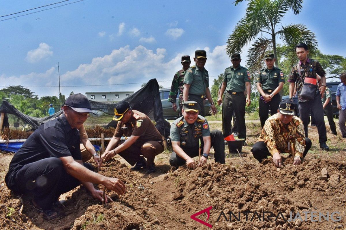 Korem 074/Warastratama penghijauan di Wonogiri