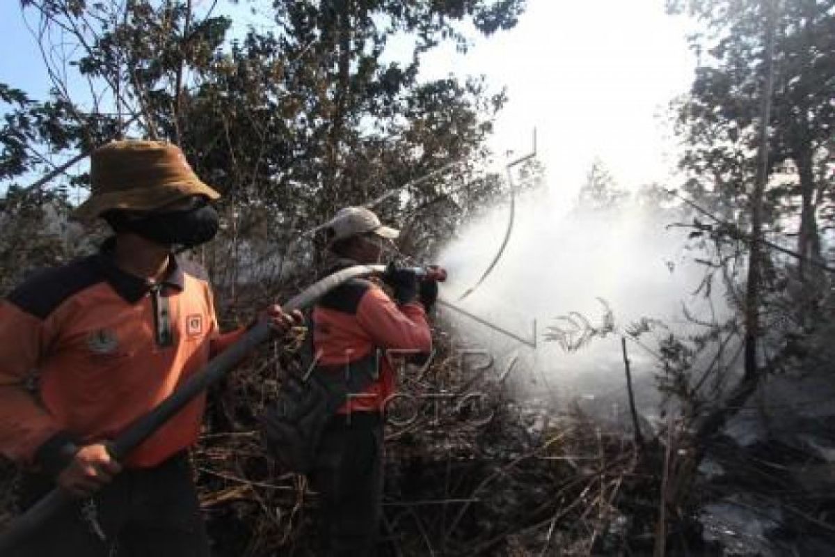 Kekuatan Penuh Manggala Agni dikerahkan untuk Padamkan Karhutla Riau