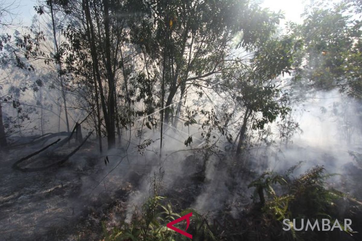 Riau Minta Bantuan BNPB untuk Cegah Karhutla, begini penjelasannya