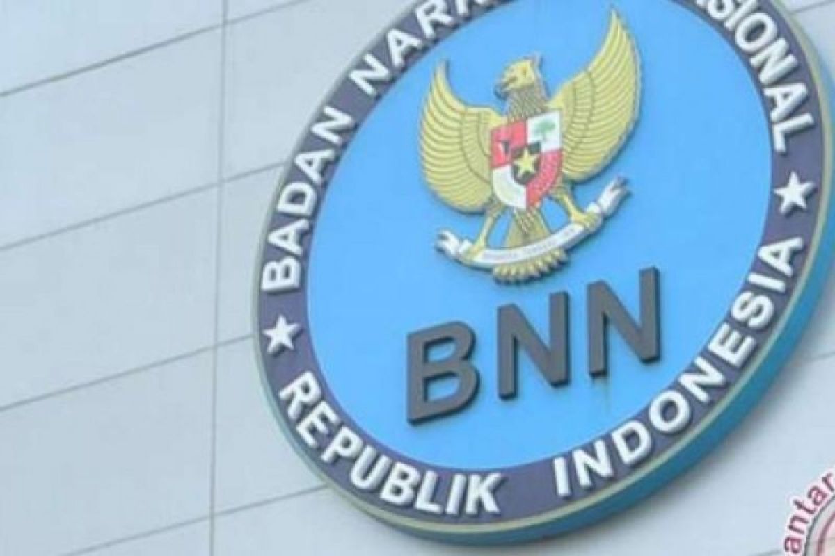 BNN Riau bekuk suami istri terlibat jaringan ganja Aceh