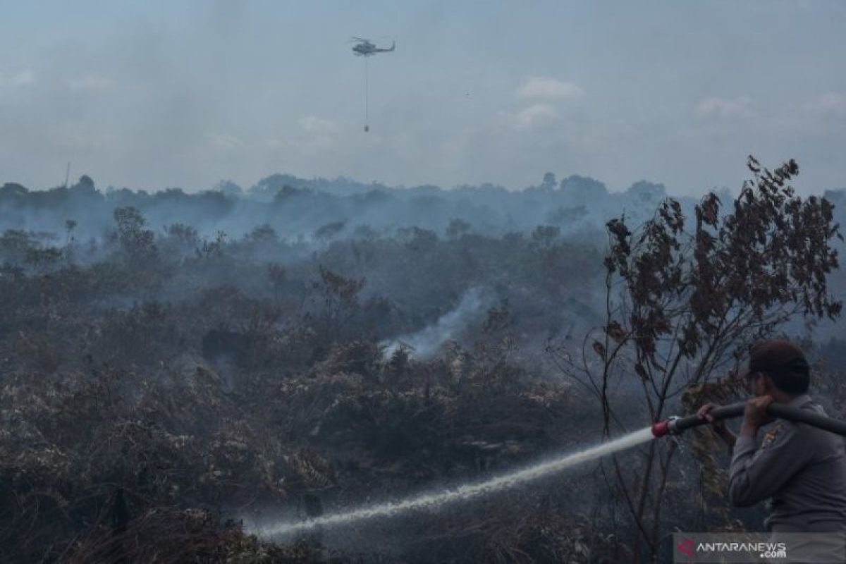 Kabut asap tipis kembali selimuti Pekanbaru