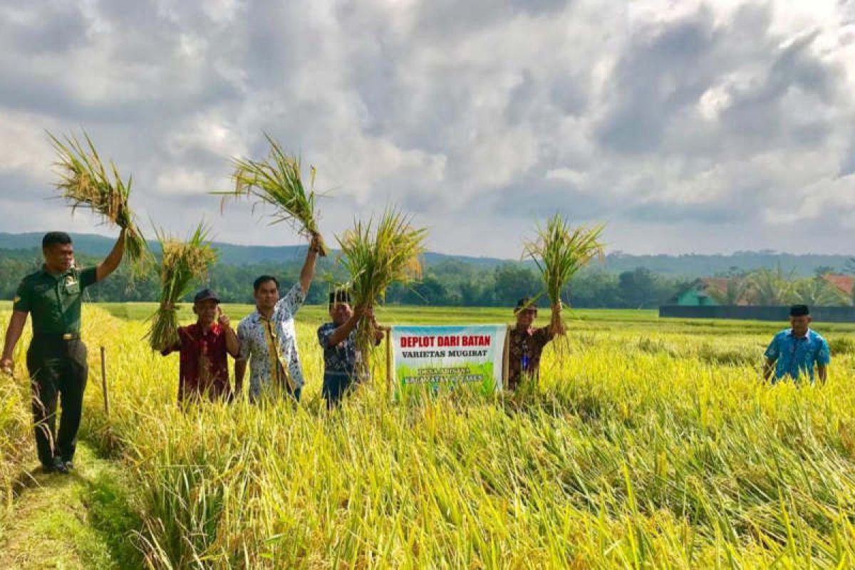 Wirendra sebut padi Mugibat sebagai solusi kesejahteraan petani