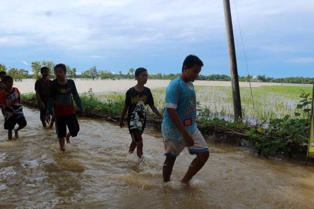 Pemprov Jatim siapkan ganti rugi bagi petani terdampak banjir