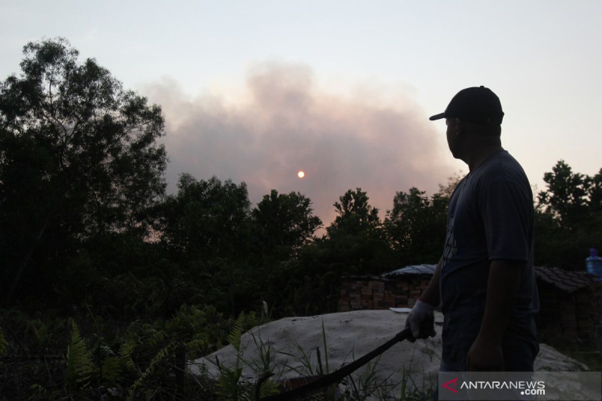 BRG manfaatkan lahan gambut terbakar