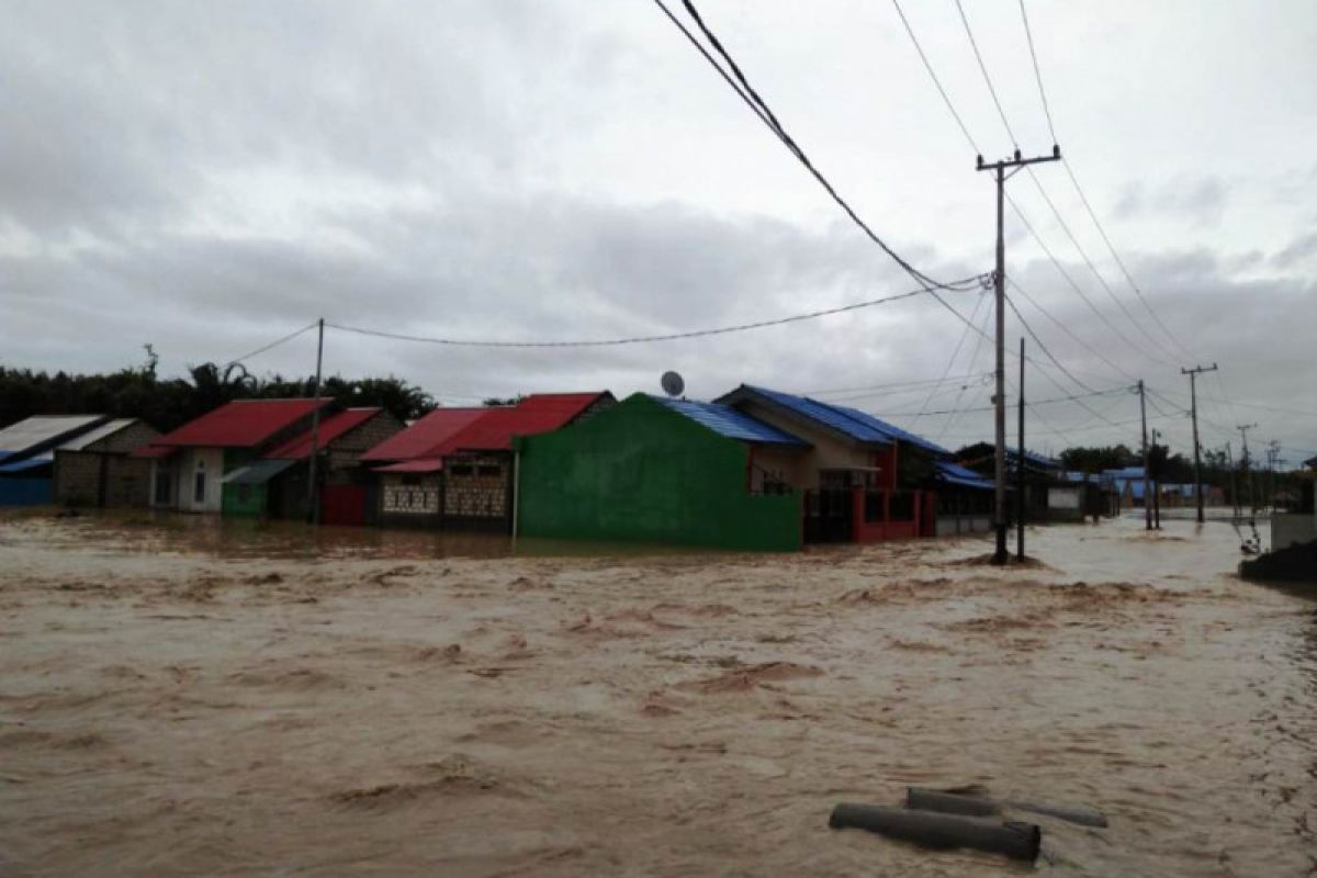 Wilayah Papua punya banyak sesar aktif gempa bumi