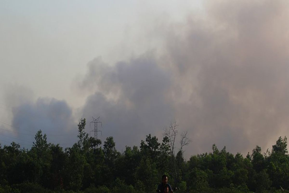 Tackling forest fires in five Indonesian provinces