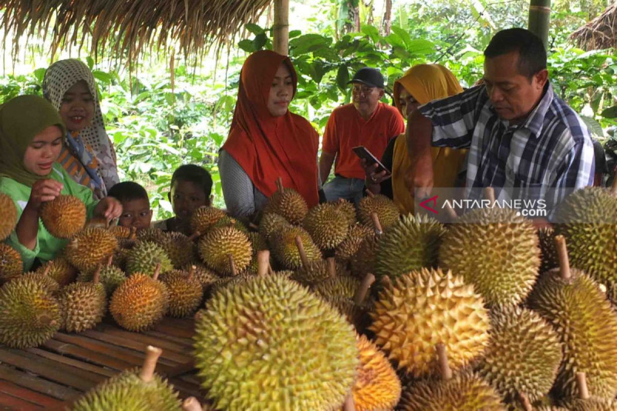 Durian mengandung kolesterol, mitos