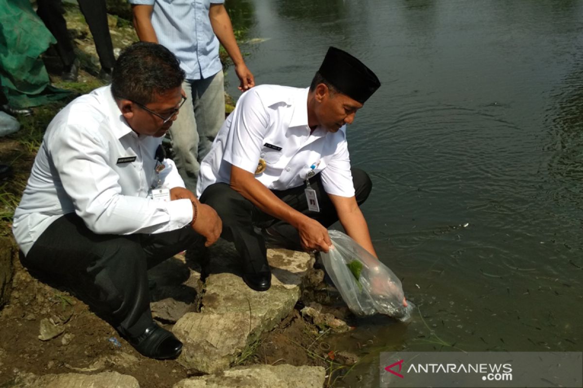 370 ribu benih ikan ditebar di perairan umum di Kudus (VIDEO)