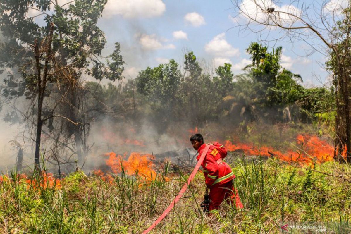 Karhutla Riau, Jikalahari kecewa Polda tak tetapkan korporasi tersangka