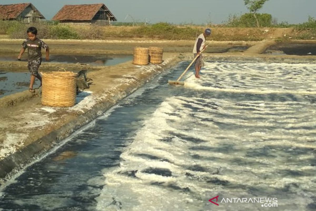 Produsen garam di Pati pangkas produksi