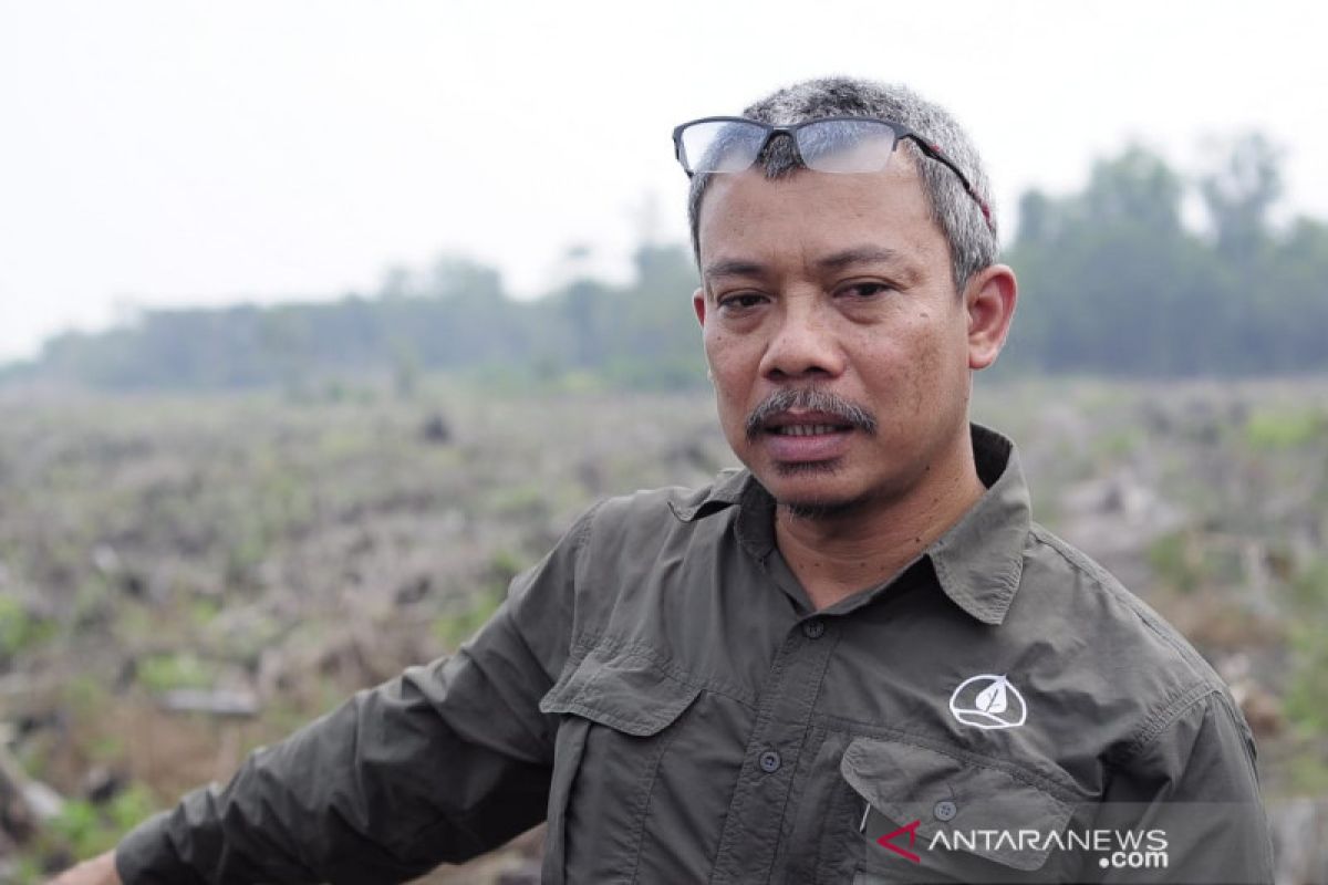 BRG pulihkan vegetasi Cagar Biosfer Giam Siak Kecil