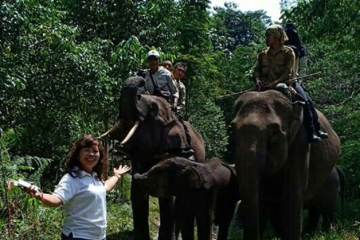 TNI ajak masyarakat kembalikan fungsi Taman Nasional Tesso Nilo