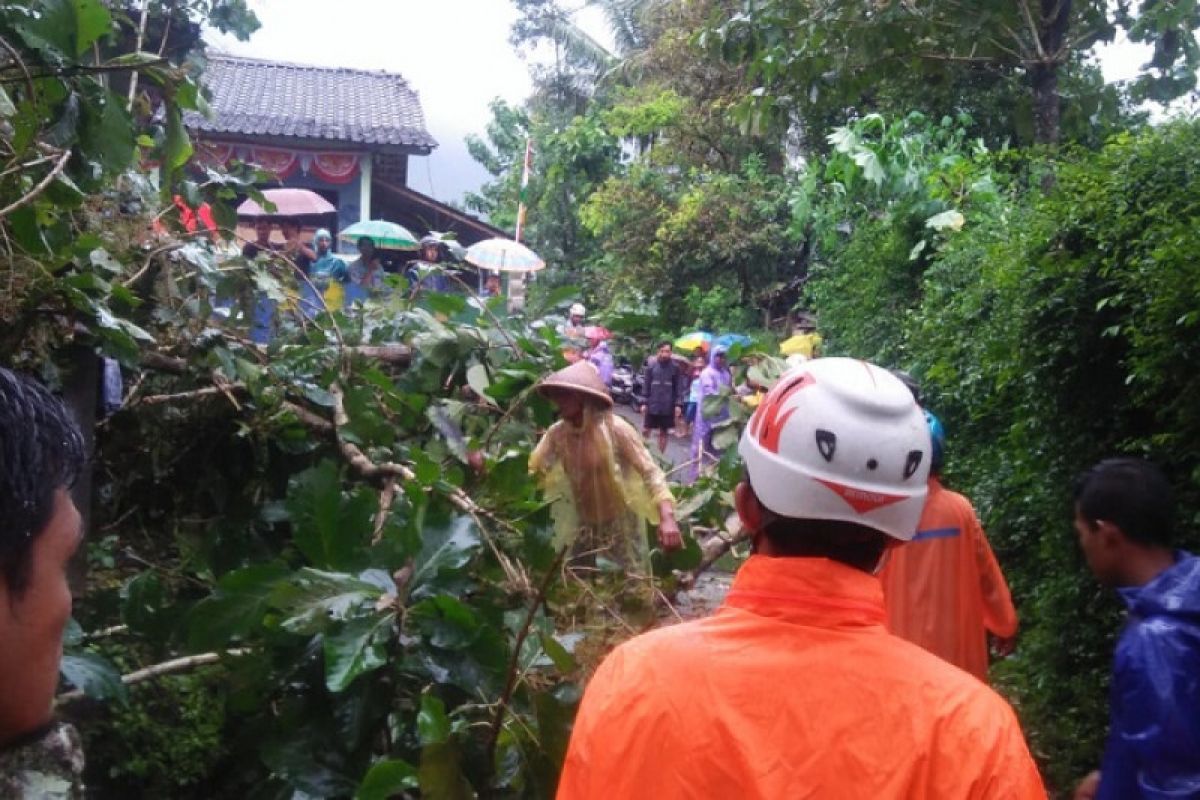 Angin ribut rusak sejumlah rumah di Borobudur