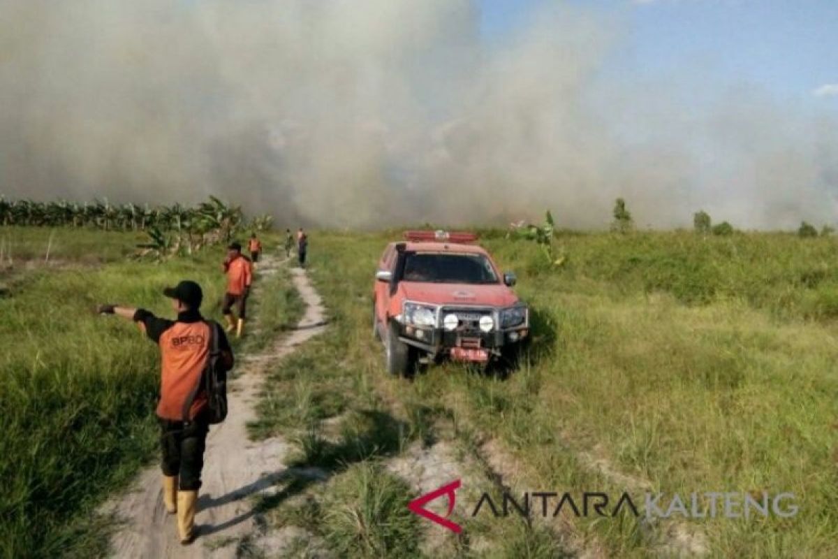 Ada 15 tersangka penyebab Karhutla di Riau. Begini rinciannya