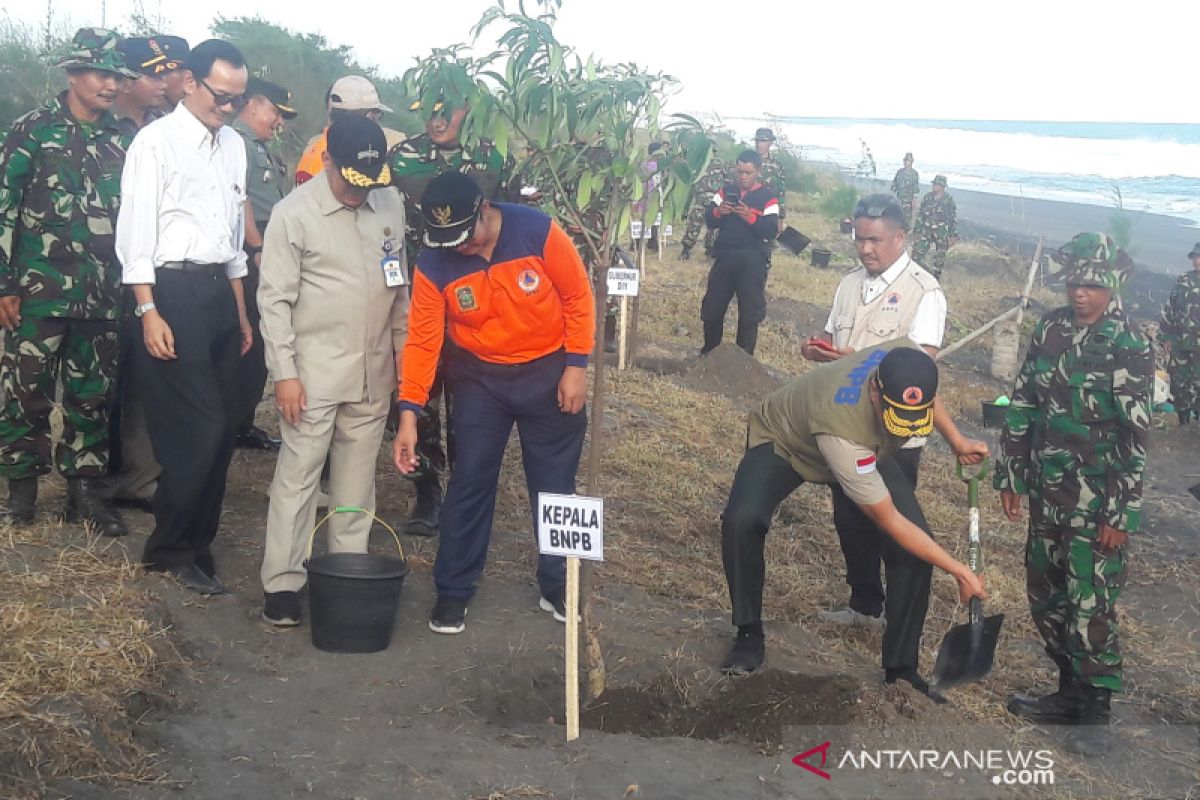 BNPB menanam sabuk hijau di kawasan BIY (VIDEO)