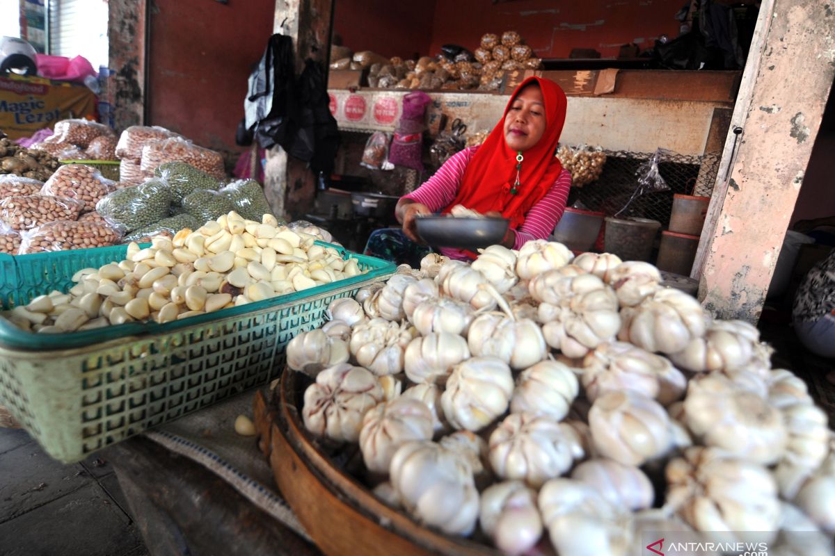 Harga bawang putih Rp60 ribu/kilo di Dumai. Kok bisa?