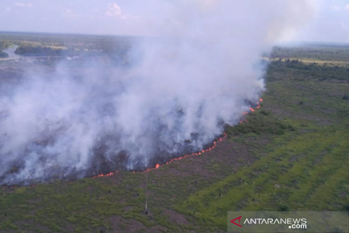 Satgas saling berjibaku padamkan kebakaran Cagar Biosfer Riau