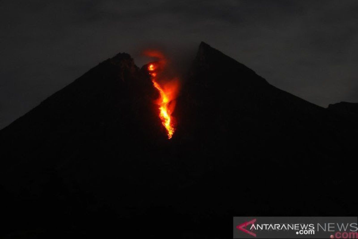 Merapi luncurkan guguran lava sejauh 950 meter