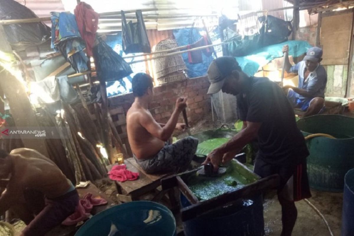 Produsen dawet-cincau kota Palembang habiskan satu ton bahan baku per hari