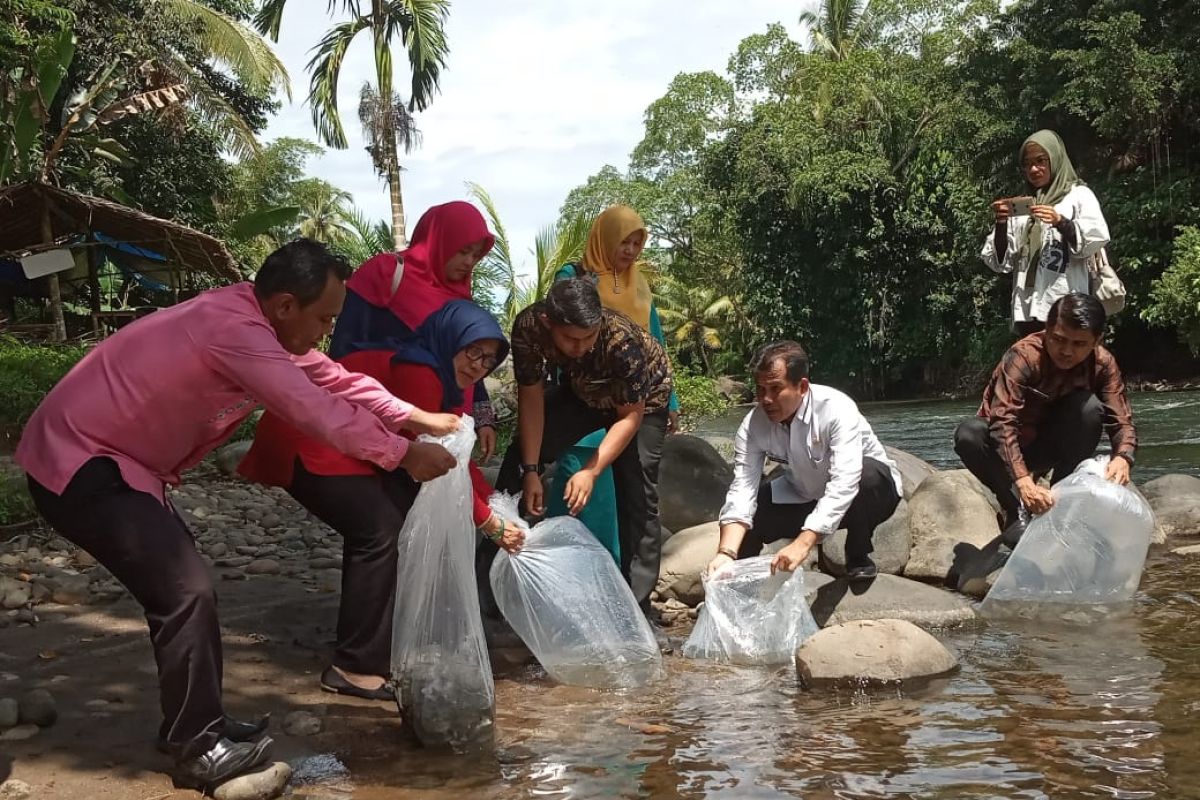 Agam dapat batuan 16 ribu bibit gariang ditebar di dua Lubuk Larangan