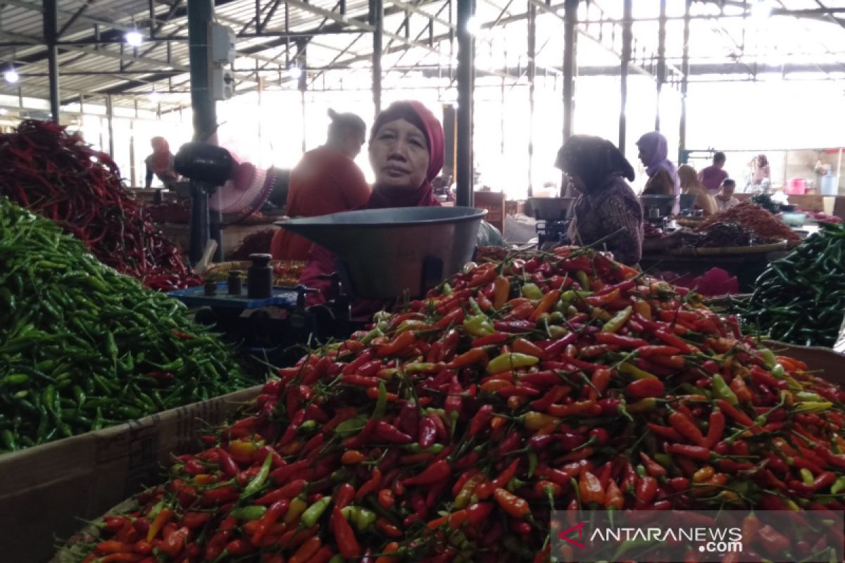 Harga cabai di Solo melonjak, capai Rp42.000/kg