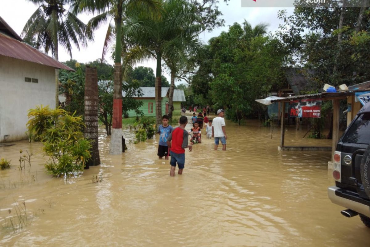 Banjir di Kendari, SAR evakuasi warga korban banjir sungai Wanggu