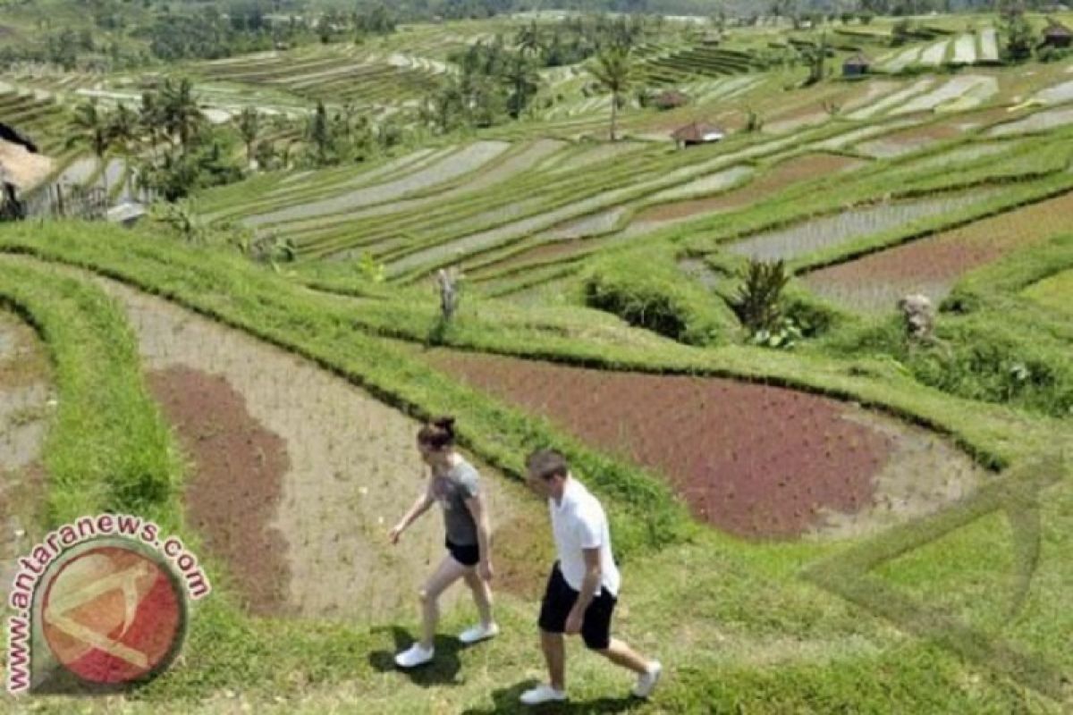 Subak bahan promosi destinasi wisata pertanian Indonesia di Namibia