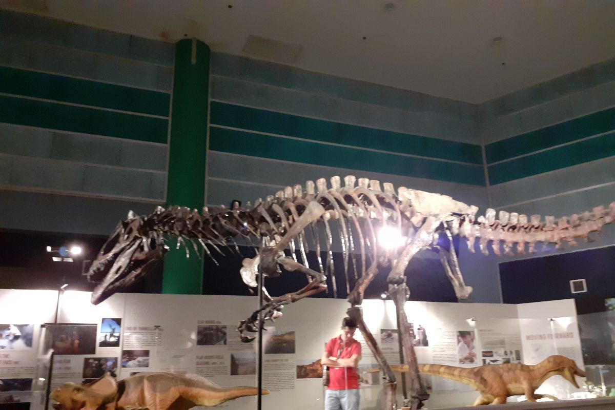 DinoQuest ajak pengunjung kembali ke zaman periode Cretaceous