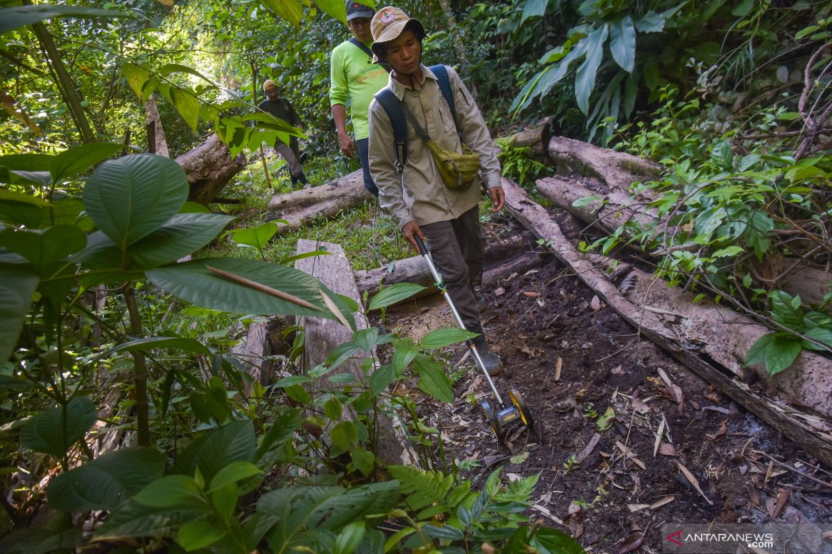 Polda Riau minta BBKSDA proaktif jaga hutan lindung dari pembalakan liar