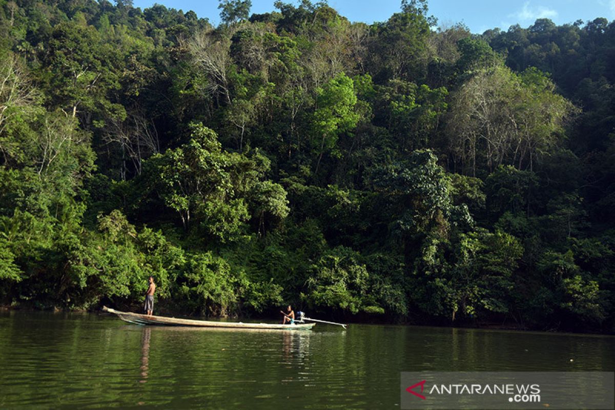 Gubernur Riau usul Bukit Rimbang Baling jadi taman nasional