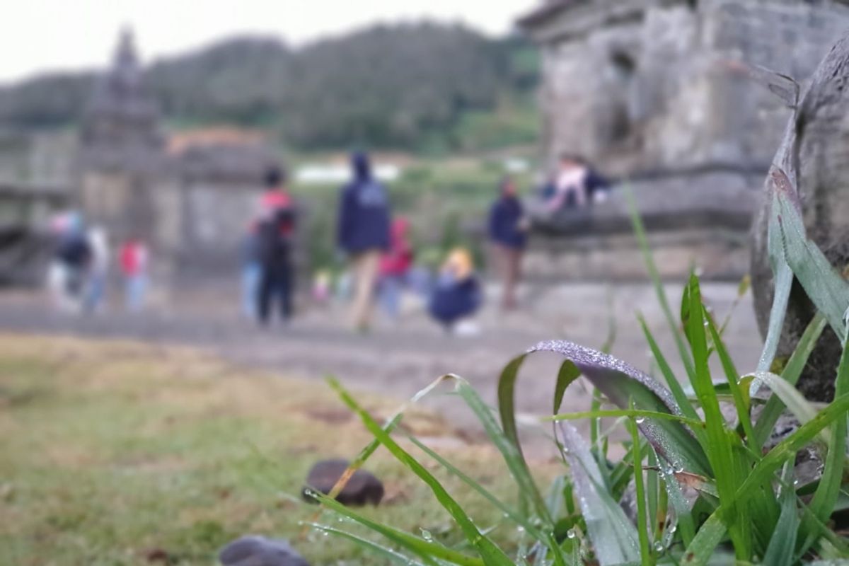 Embun es Dieng, salju cantik yang menawan dan mengancam (VIDEO)