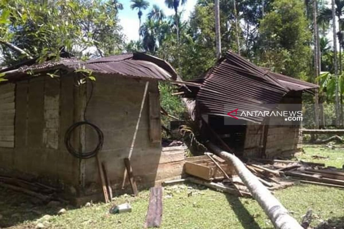 12 ekor gajah mengamuk di permukiman warga Nagan Raya Aceh