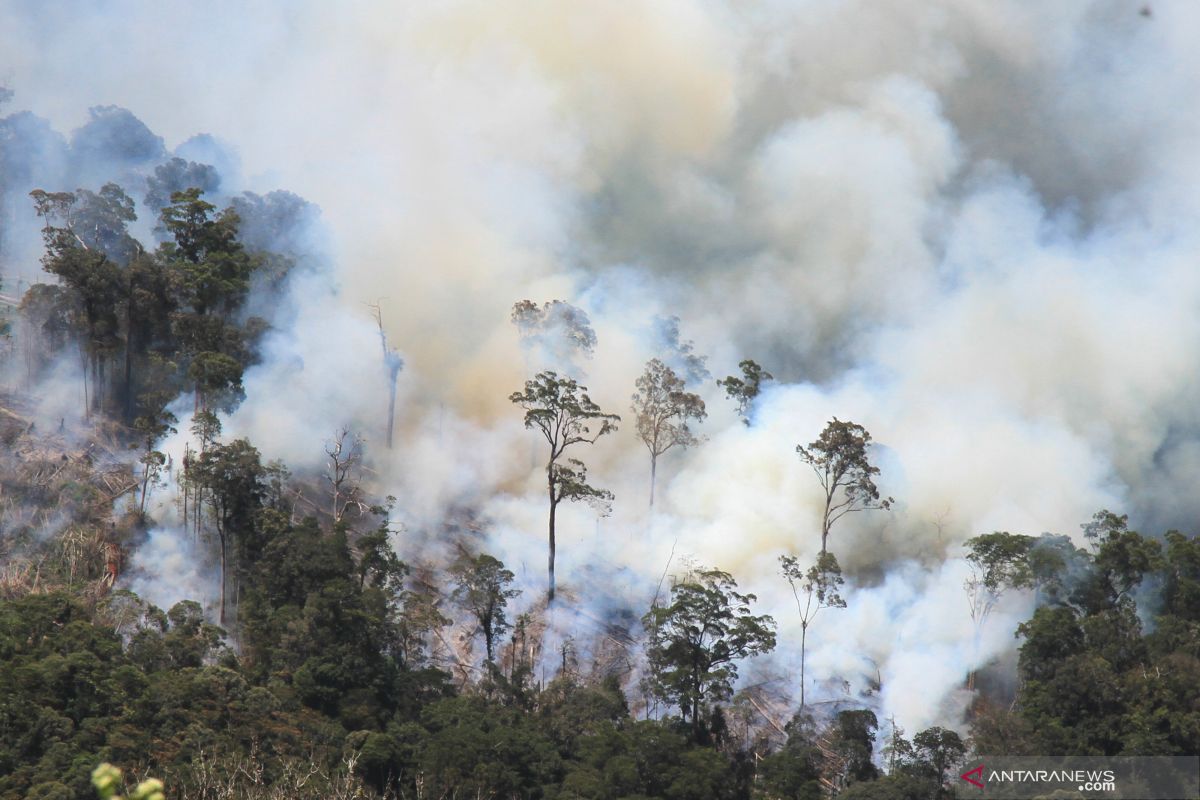 Akademisi: Masih ada niat buka lahan dengan membakar