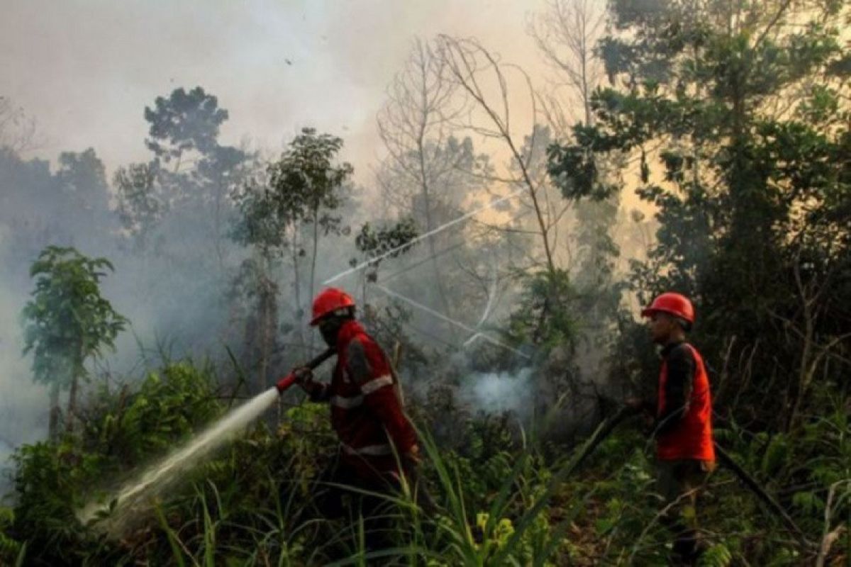 Menghadang musim kemarau di Bumi Melayu Riau