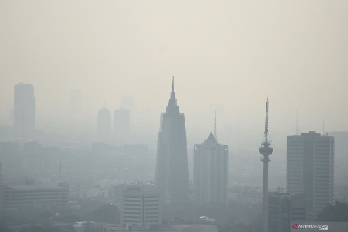 Greenpeace: Pembagian lidah mertua bukan solusi tepat