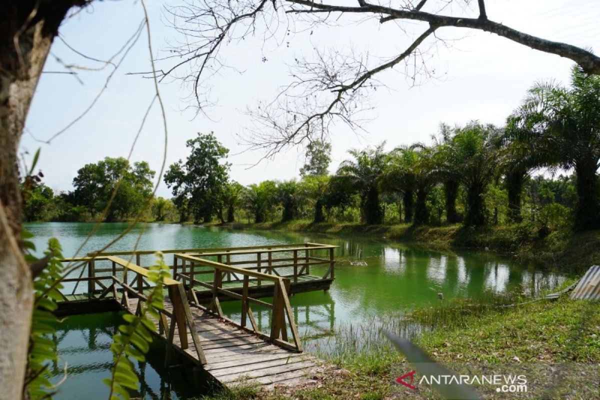 Realisasi reklamasi lahan bekas tambang 8.539 hektare